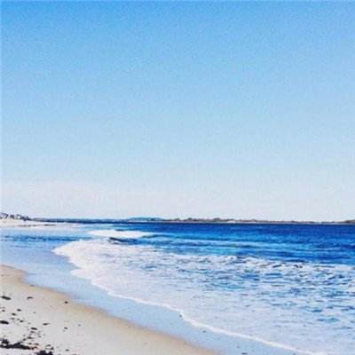 半岛平台官网入口截图