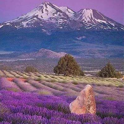 天博下载安装截图